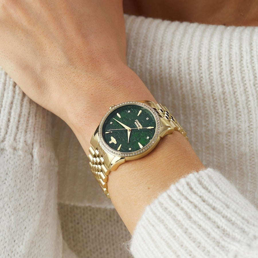 Vivienne Westwood Watch Wallace Ladies VV208GDGD New
